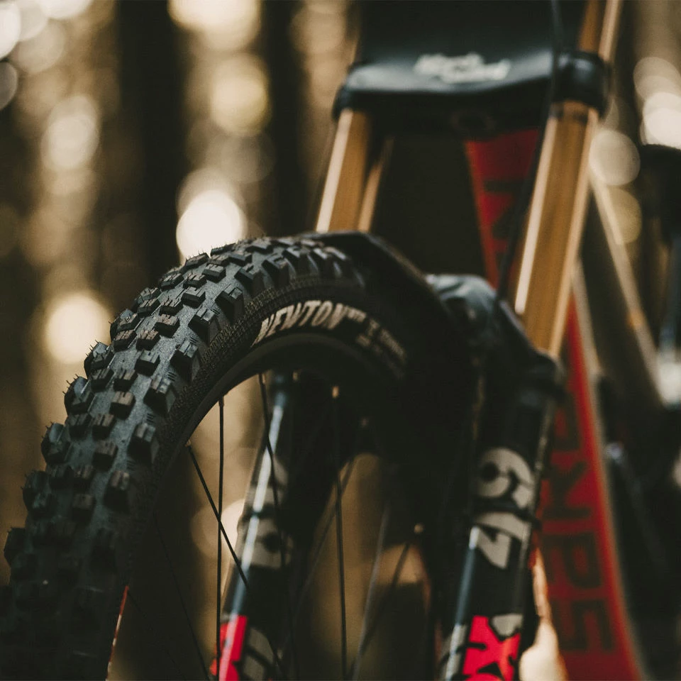 Goodyear Newton MTF Downhill Tubeless Complete Tyre - Image 5