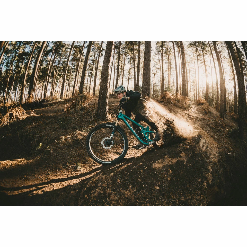 Goodyear Newton MTF Downhill Tubeless Complete Tyre - Image 10