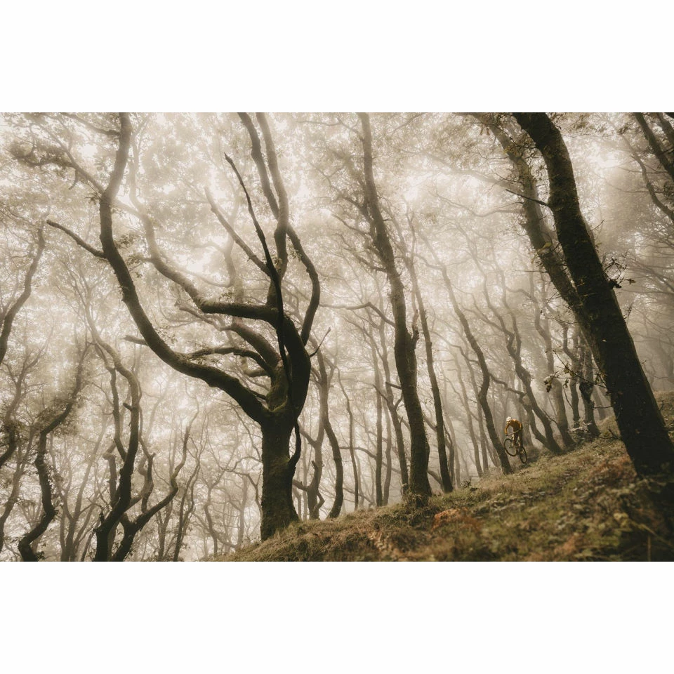 Goodyear Newton Enduro Tubeless Front MTB Tyre Black 2.5" 2 - Image 11